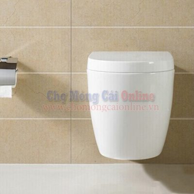 Bàn cầu vệ sinh két âm tường TB007