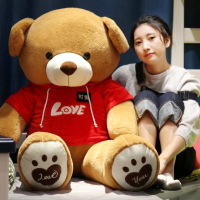 Đồ chơi sang trọng Teddy Panda Hug Bear Big Bear Doll Cute Ragdoll Gối Doll Girl Girl Gift