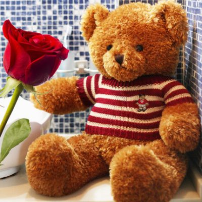 Chính hãng Teddy Panda Hug Bear Big Bear Plush Toy Doll Doll Doll Doll Quà tặng sinh nhật cho bạn gái