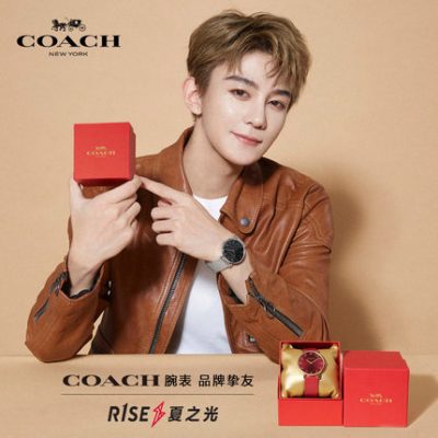 [Đồng hồ cặp đèn mùa hè] Đồng hồ đeo tay bằng thép đồng hồ đôi COACH / Coach PERRY