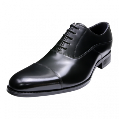 REGAL / Rieger Nơi làm việc trang trọng Tiệc cưới Tiệc cưới Giày da Giày nam Giày nam Giày da T33B