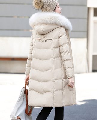 Áo khoác cotton nữ 2019 mùa đông mới dành cho nữ phiên bản Hàn Quốc của áo khoác cotton rộng rãi trong phần dài của áo khoác parka áo khoác thủy triều