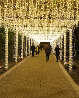 Đèn LED icicle, đèn lồng, đèn nhấp nháy, đèn dây, đèn trang trí Giáng sinh đầy sao, đèn thác nước không thấm nước ngoài trời, đèn rèm