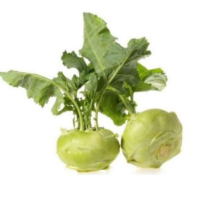 Su Hào Xuất Khẩu - Kohlrabi - 苤蓝 (Piě lán)