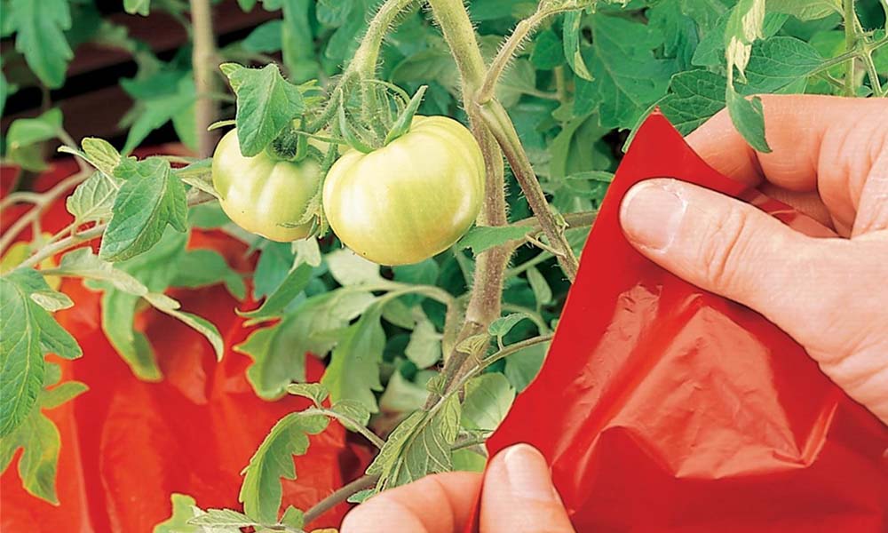 cuộn màng phủ nông nghiệp màu đỏ