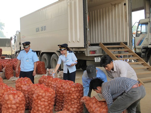 Dịch vụ kiểm dịch thực vật uy tín