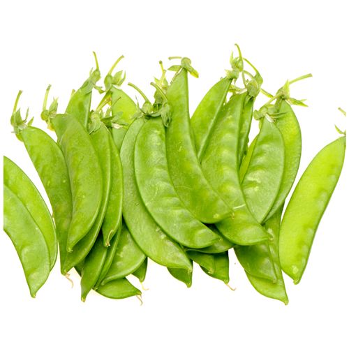 dau-ha-lan-loai-xuat-khau-trong-luong-5-kg