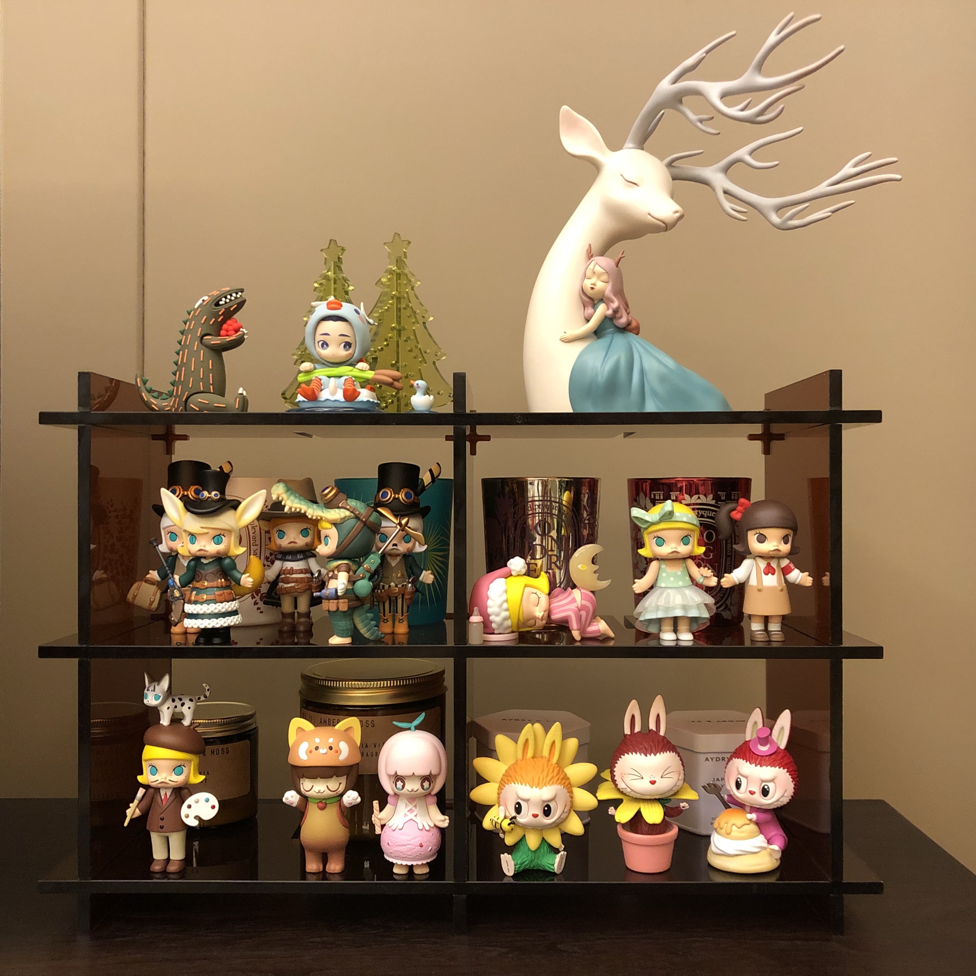 kệ trong suốt (5)