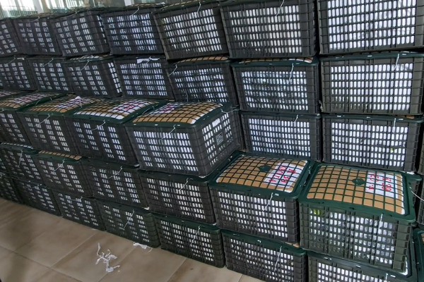 Thu-Tuc-Xuat-Khau-Nong-San-Sang-Trung-Quoc