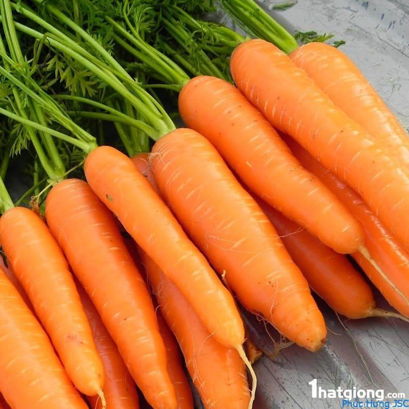 ca-rot-viet-nam-800x800