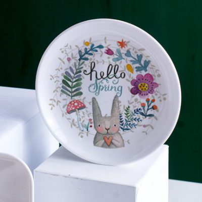Đĩa nhựa họa tiết hoạt hình dễ thương , bền , đẹp.