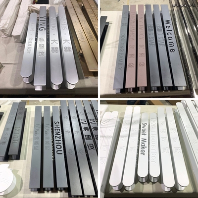 Tay nắm cửa kính chải đen và trắng lỗ khoảng cách chữ cái tay nắm cửa đôi cửa gỗ đơn giản cổ điển tùy chỉnh logo