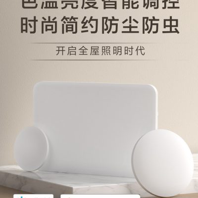 Đèn trần Mijia đơn giản hiện đại phòng khách phòng khách lối đi ban công Xiaoai bạn cùng lớp thông minh LED Xiaomi chính thức cờ