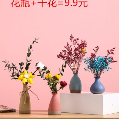 Morandi mini bình trong gió bàn cà phê máy tính để bàn phòng khách cắm hoa trang trí hoa khô trang trí trang trí nhà