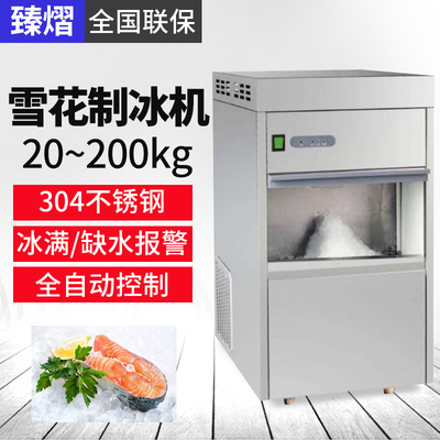 Zhenyi Mr Io loạt máy làm đá tuyết tự động phòng thí nghiệm máy nghiền đá lớn thương mại