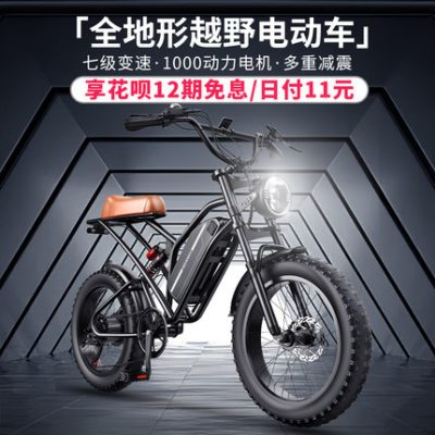 Đức GDANNY địa hình xe đạp điện lốp rộng 20 inch xe đạp leo núi xe trượt tuyết xe chạy pin điện
