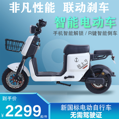 Gesling hiệp sĩ số mới tiêu chuẩn quốc gia xe đạp điện mang thức ăn mang đi giao đồ ăn tốc độ cao đường dài vua chạy xe 009 pin lithium