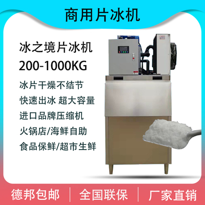 Máy làm đá vảy Ice Real thương mại hải sản tự chọn lẩu tự chọn Máy làm đá vảy 200/300/500 kg