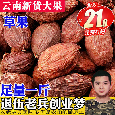 Gia vị Daquan cỏ và trái cây gia vị thịt om nước Vân Nam cỏ và trái cây hầm thịt gói gia vị hoa hồi quế bột bán buôn 500g