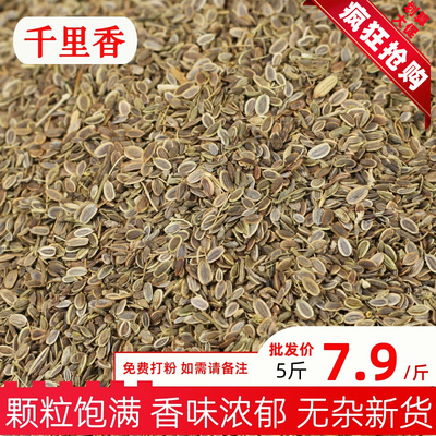 Qianlixiang 500g Húng tây Hạt giống thì là Húng tây Lẩu om Rau gia vị Hương vị tự nhiên Gia vị Gia vị