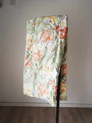 Đồ vật lớn 2021 new ~ West * chăn ga gối đệm NIsh * kaw ** series, chăn lông cừu 0,25KG kháng khuẩn và chống ve