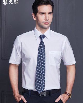 Áo sơ mi nam ngắn tay nam công sở mùa hè giản dị của nam giới áo sơ mi nam trắng nửa tay không có bàn ủi