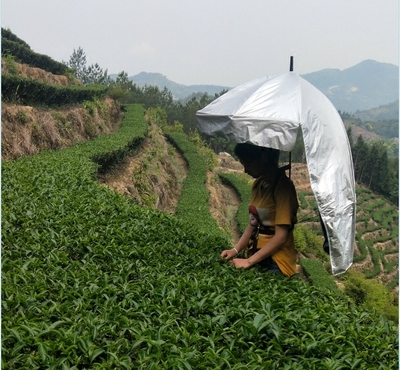 Ô hái chè có thể là loại ô che nắng chống nắng chống nắng đội đầu ô dù hai lớp lớn hái chè ô dù câu cá ngoài trời mũ ô dù