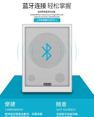 Sony Ericsson SA-G1 âm thanh treo tường không dây bluetooth shop chuyên dụng loa treo tường loa treo tường bộ loa nhà hàng siêu thị thương mại nhà hàng quán cắt tóc quán trà sữa phát sóng