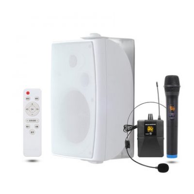 Phòng học khiêu vũ chuyên dụng treo tường hội nghị âm thanh trong nhà bluetooth micrô hoạt động loa phòng tập thể dục treo tường nhà hàng phòng hội nghị micrô loa phòng tập nhảy cửa hàng loa siêu trầm thương mại