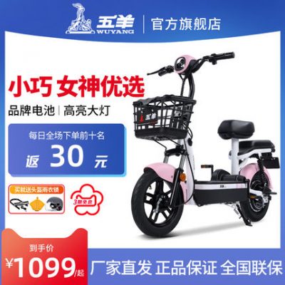 Wuyang mới tiêu chuẩn quốc gia xe đạp điện nhỏ 48V pin lithium takeaway chạy đường dài chạy pin xe nam và nữ đi du lịch cha mẹ-con