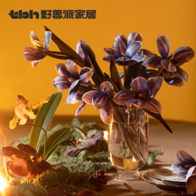 tbh Brutalist Home Harry Potter Curse Series Bình thủy tinh Phòng khách Bàn ăn Cắm hoa Trang trí