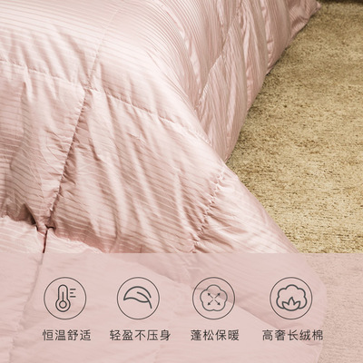 Bộ đồ giường HUGH 100 chăn lông ngỗng chăn bông im lặng chăn bông ấm áp mùa đông
