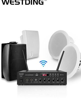 Westin 201 âm thanh âm trần không dây bluetooth tại nhà cửa hàng trong nhà hệ thống nhạc nền đặc biệt loa nhúng phòng khách loa trần nhà hàng bộ phát sóng âm thanh vòm gắn trên đầu