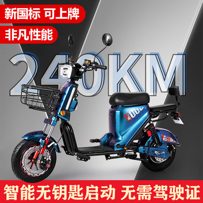 Gesling xe đạp điện nhanh hơn 009 tiêu chuẩn quốc gia mới giao thức ăn mang đi tiêu chuẩn quốc gia xe hơi pin lithium 48V thông minh