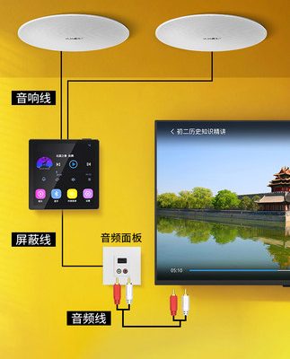 Xianke điều khiển bằng giọng nói thông minh WIFI âm thanh trần nhà trần nhà trần nhà âm thanh thiết lập bảng điều khiển hệ thống chủ hệ thống điều khiển bằng giọng nói không dây âm thanh vòm 3D nhúng loa bluetooth