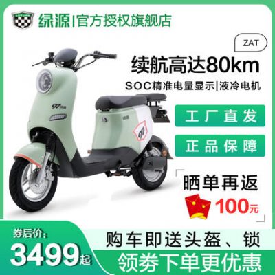 Xe đạp điện Lvyuan ZOO tiêu chuẩn quốc gia mới pin lithium 48v24a pin tuổi thọ cao cho người lớn