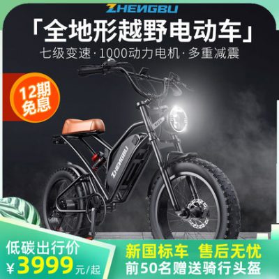 Tích cực bước tích cực 20 inch rộng lốp xe đạp leo núi tốc độ biến đổi du lịch cổ điển off-road bãi biển xe máy điện