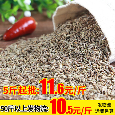 Hạt thì là Tân Cương 500g thịt nướng đích thực rắc một pound bột thì là miễn phí halogen gia vị gia vị