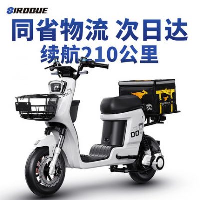 Tiêu chuẩn quốc gia mới 009 xe điện đặc biệt có thể được cấp phép xe chạy pin lithium xe đạp điện nhỏ mới