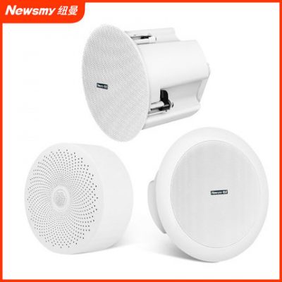 Newman không dây bluetooth âm trần cửa hàng âm thanh nhà hàng loa trần nhà phòng khách loa siêu trầm âm thanh vòm 3D loa âm thanh phát sóng trong nhà gắn tường bộ âm thanh nhúng