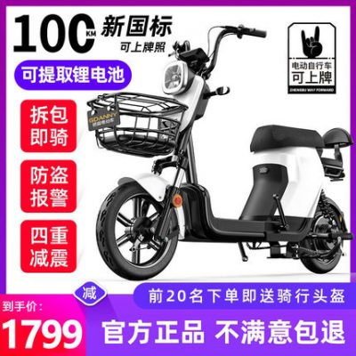 Đức gdanny tiêu chuẩn quốc gia mới của Đức pin lithium cho xe chạy đường dài chạy pin xe hơi nam và nữ lừa điện xe đạp điện