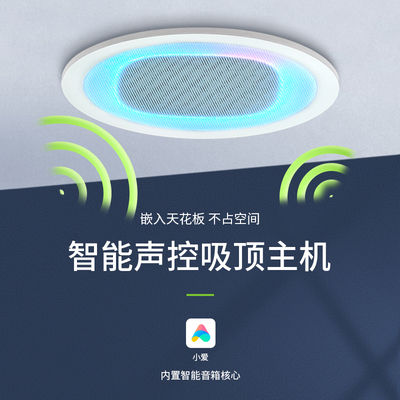 Âm thanh trần nhà không dây thông minh Loa WIFI Tmall Elf Xiaodu Xiaoai Loa điều khiển bằng giọng nói Bluetooth