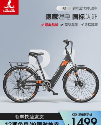 Phoenix năng lượng pin lithium xe đạp điện nam giới và phụ nữ nhỏ người lớn phụ huynh-trẻ em pin xe máy tiêu chuẩn quốc gia mới