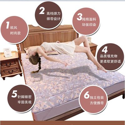 [Nệm năng lượng Zhongwei Tourmaline] Bộ giường đôi chăm sóc sức khỏe chức năng 2017 chính hãng