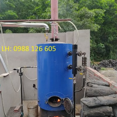 Nồi hơi đốt than 100kg/h