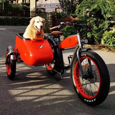 Retro tuyết lốp bên điện xe ba bánh chở hàng off-road ATV ebike sidecar