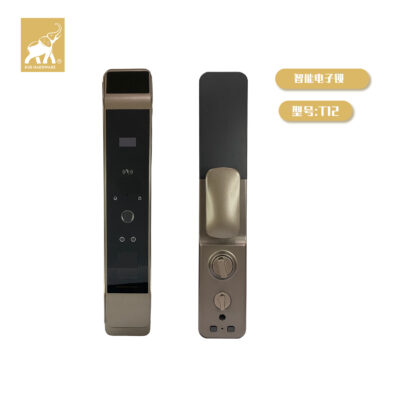 Nhận dạng khuôn mặt 3D hoàn toàn tự động khóa điện tử vân tay T12 khóa thông minh giám sát mắt mèo trực quan các nhà sản xuất hộ gia đình bán buôn