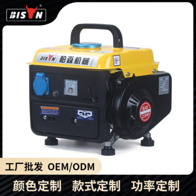 220V Máy Phát Điện Nhỏ Micro Máy Phát Điện Xăng Mini Di Động Hộ Gia Đình không ồn Máy Phát Điện Bằng Tay