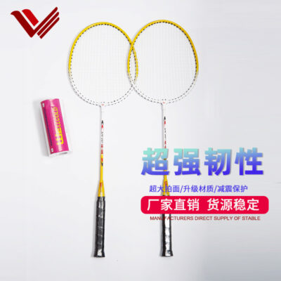 Nhà máy WELLCOLD bán hàng trực tiếp, hợp kim sắt chia vợt cầu lông sinh viên đào tạo trò chơi vợt 105