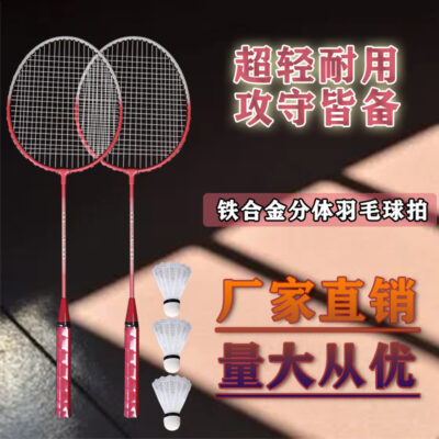Vợt Cầu Lông Cho Người Mới Bắt Đầu Chia Nhẹ Và Bền Vợt Trò Chơi Người Lớn Huấn Luyện Cầu Lông Chuyên Nghiệp Bán Buôn
